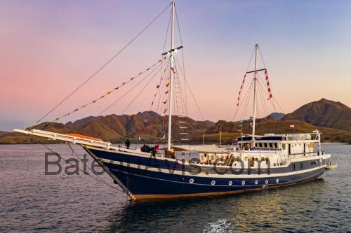 Seahorse 56 fiche technique et avis